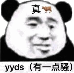 真yyds有点骚