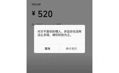 转账金额￥520情修对方不是你的情人,并且你也没有这么多钱,请你好自为之。取消换卡支付(情人节表情包)