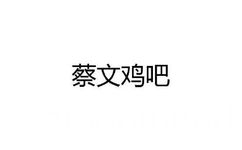 蔡文鸡吧 - 恶搞王者荣耀英雄名字