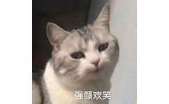 强颜欢笑 - 沙雕猫咪表情包