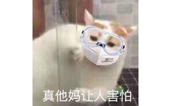 真他妈让人害怕 猫咪表情包 - 戴口罩表情包