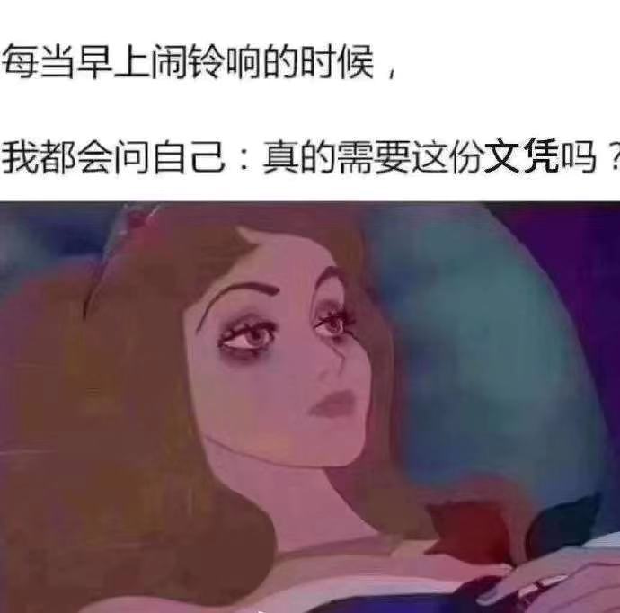 每当早上闹铃响的时候,我都会问自己:真的需要这份文凭吗