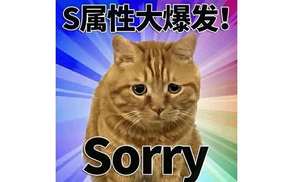 S属性大爆发！Sorry - S属性大爆发表情包