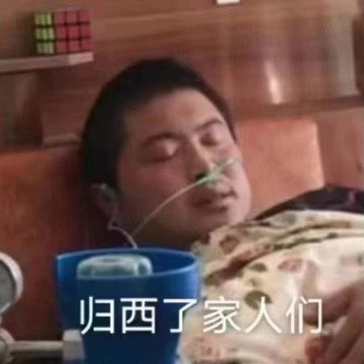 归西了家人们(丽丽表情包)