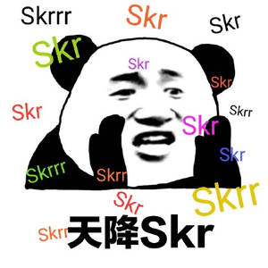 skr 天降 skr（熊猫头skr表情包 ​）