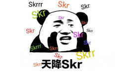 skr 天降 skr（熊猫头skr表情包 ​）