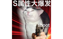 S属性大爆发shoot - S属性大爆发表情包 ​