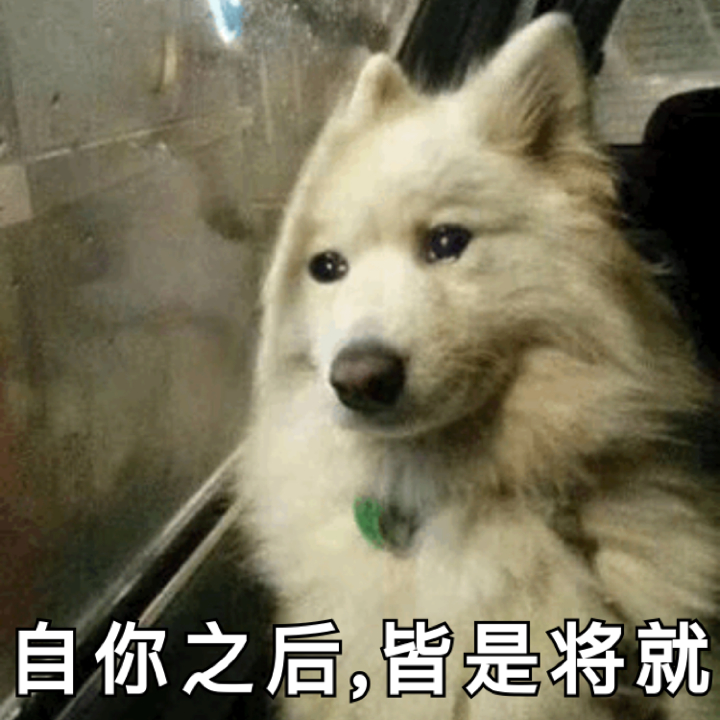 自你之后,皆是将就