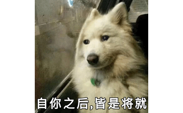 自你之后,皆是将就