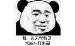 我一进来就看见常威在打来福