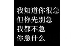 我知道你很急但你先别急我都不急你急什么