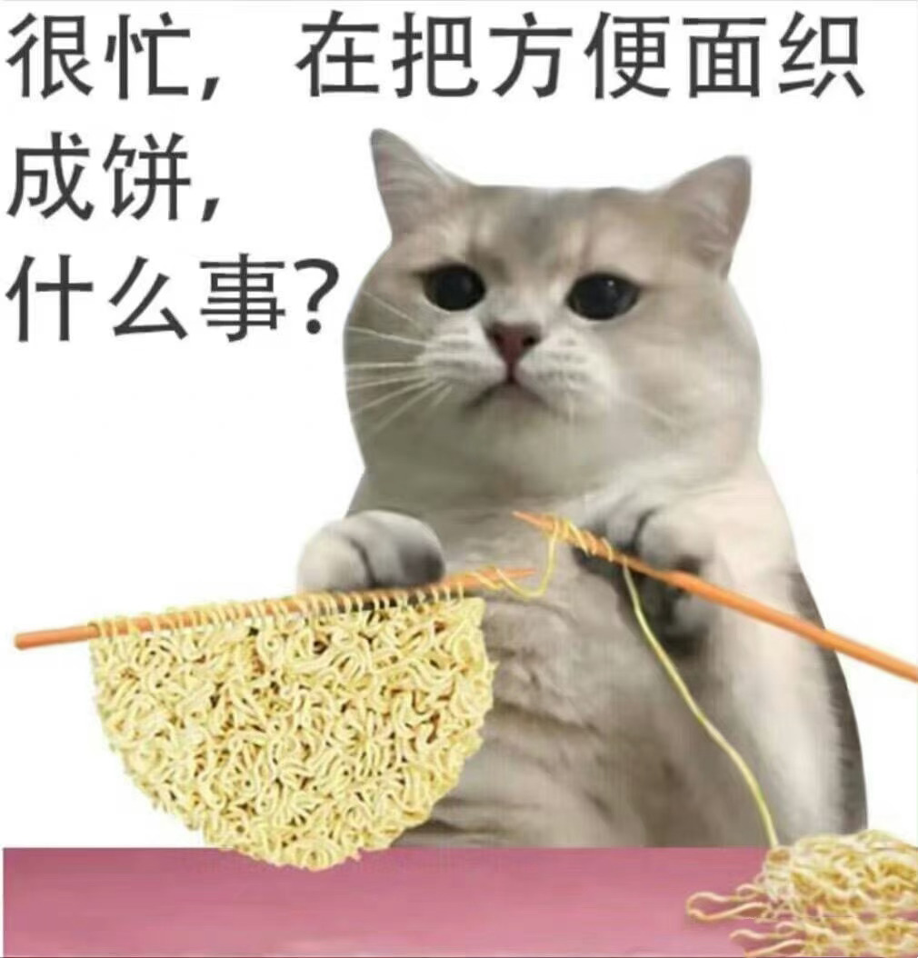 很忙,在把方便面织成饼,什么事? - 猫猫很忙表情包 ​