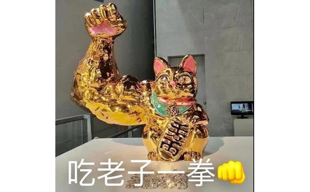 吃老子拳(健身招财猫表情包)