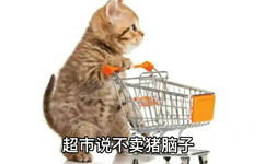 超市说不卖猪脑子(猫猫手推车表情包)