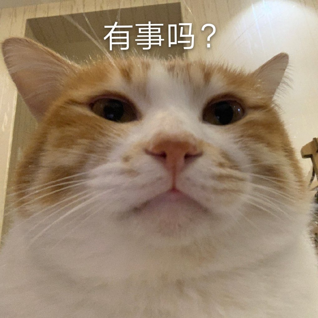 有事吗?(猫咪表情包)