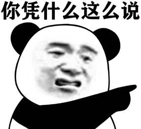 你凭什么这么说