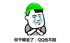 你干嘛去了,QQ也不回 - 绿帽子表情包：你干嘛去了鸭 ​