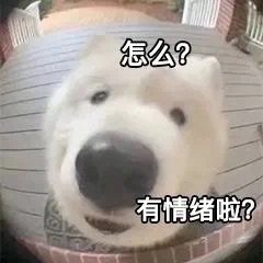 怎么?有情绪啦?