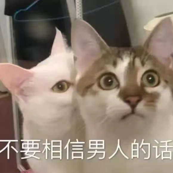 不要相信男人的话(猫猫表情包)