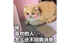 埃喜欢的怎么还不回我消息 - 一组萌萌的猫咪表情包  吸猫(=^o^=) ​