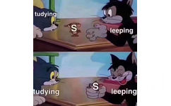 sleeping vs studying （睡觉战胜学习）