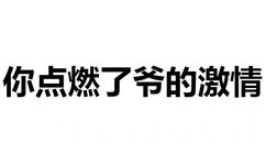 你点燃了爷的激情 - 儿子你好，我是你失散多年的爸爸！（文字表情）