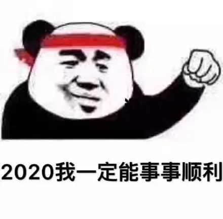 2020我一定能事事顺利 - 熊猫头：2020我一定能成功