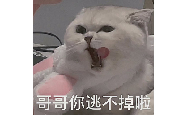 哥哥你逃不掉啦 - 猫猫涩涩表情包