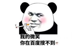 我的微笑，你在百度搜不到（熊猫头）