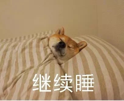 继续睡 - 柴犬被窝表情包