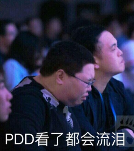 PDD 看了都会流泪 - 骚猪嫖老师PPD表情包 ​