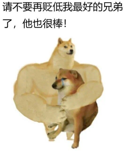 请不要再贬低我最好的兄弟了,他也很棒! - 肌肉 doge 与小废狗表情包