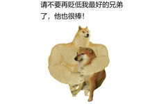 请不要再贬低我最好的兄弟了,他也很棒! - 肌肉 doge 与小废狗表情包