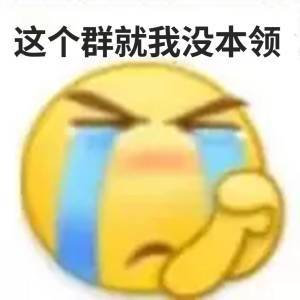 这个群就我没本领