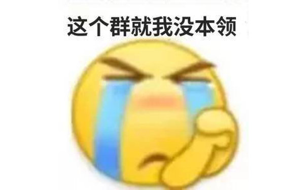 这个群就我没本领