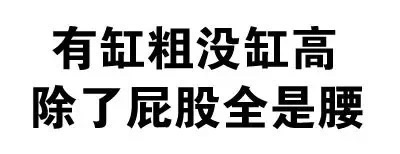 有缸粗没缸高，除了屁股全是腰 - 斗图骂人纯文字表情