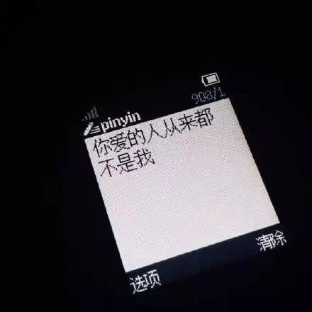 你爱的人从来都不是我（Nokia手机文字表情包）