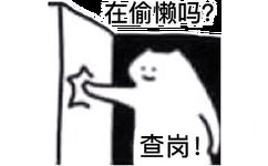 在偷懒吗?查岗!