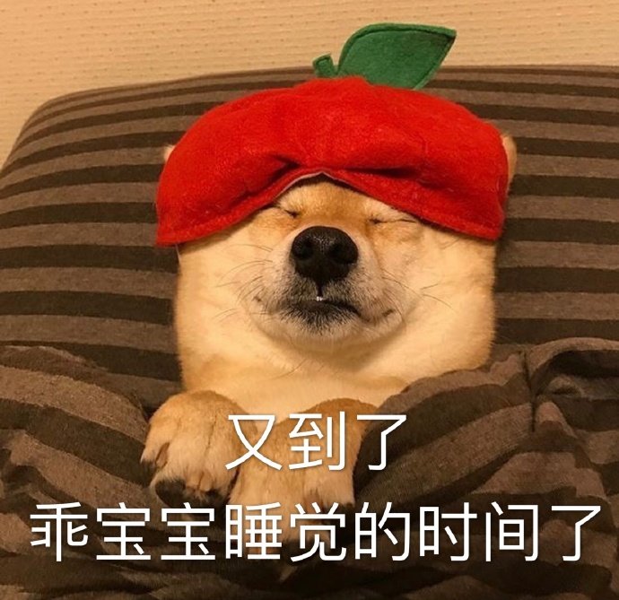 又到了乖宝宝睡觉的时间了（汪星人表情包）