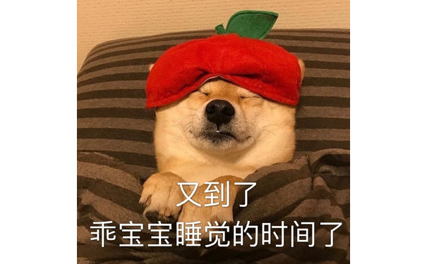 又到了乖宝宝睡觉的时间了（汪星人表情包）