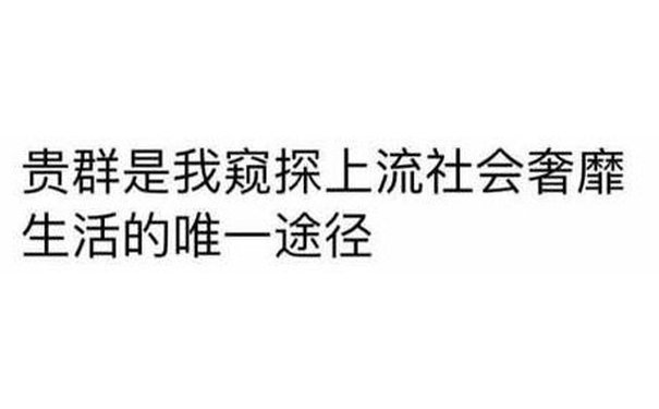 贵群是我窥探上流社会奢靡生活的唯一途径