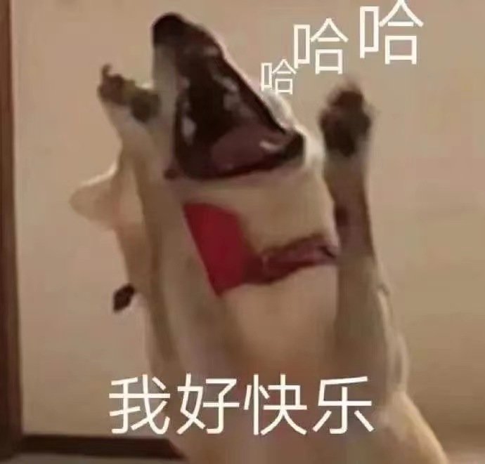 哈哈我好快乐