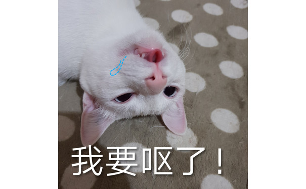 我要呕了! - 都是猫咪表情包