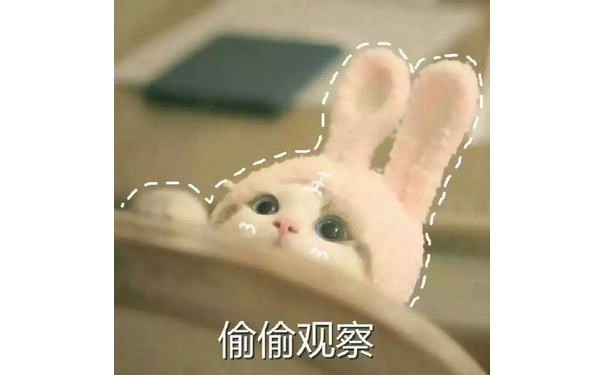 偷偷观察 - 一组萌翻了的猫咪表情包