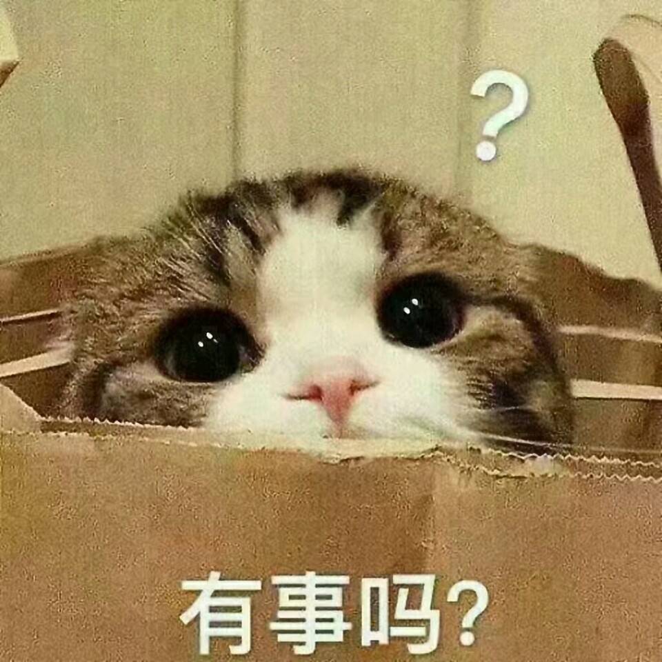 有事吗？（猫咪）