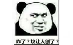 咋了？坟让人刨了？（熊猫人教皇）