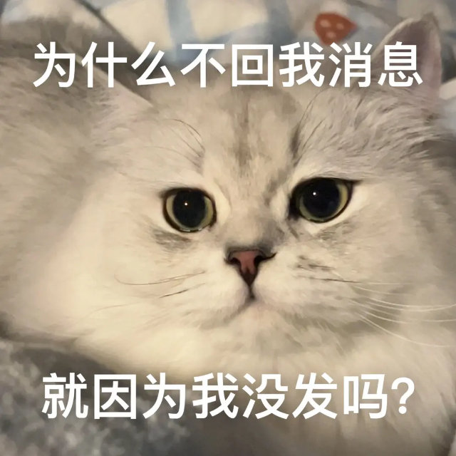 为什么不回我消息就因为我没发吗?