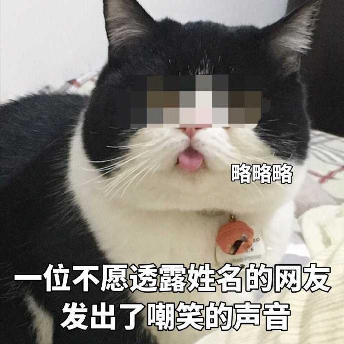 略略略，一位不愿透露姓名的网友发出了嘲笑的声音（猫咪）