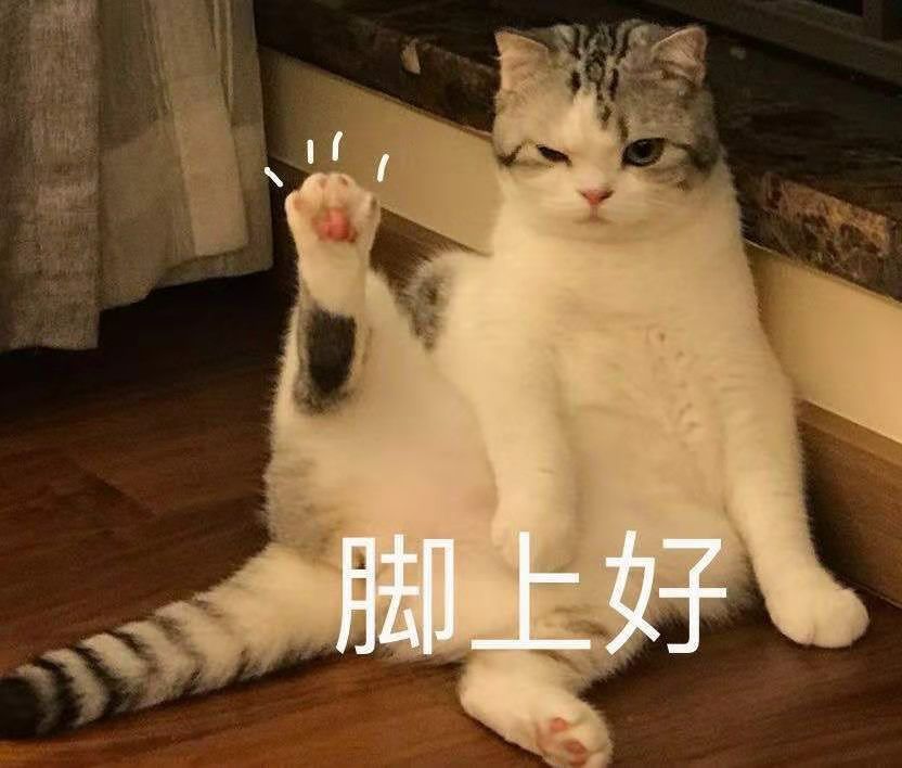 猫咪脚上好（早上好）