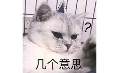 几个意思(猫猫表情包)